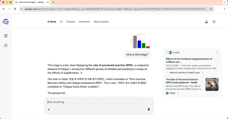 구글 AI 모드에서 사용자가 업로드한 이미지에 대해 ‘what is this image?’ 질문을 입력하자 AI가 차트 내용을 자동 분석해 설명하는 화면