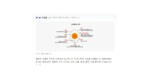 네이버 AI 브리핑 이미지형 예시 화면, 계란 구조를 설명하는 이미지와 요약 텍스트가 함께 노출된 검색 결과