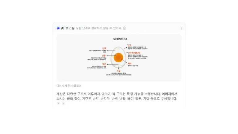 네이버 AI 브리핑 이미지형 예시 화면, 계란 구조를 설명하는 이미지와 요약 텍스트가 함께 노출된 검색 결과